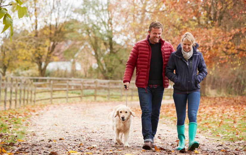 Man en vrouw wandelen in de herfst samen in het bos.